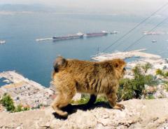  Gibraltar toujours