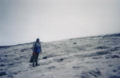 Hivernal