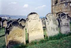 Même pas mort