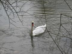Pieds dans l'eau