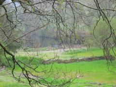 Durch Feld und Wald