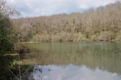 Promenons-nous dans les bois