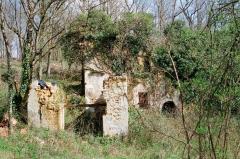 Au fond des bois