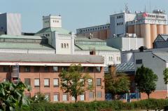 Des moulins sous le soleil
