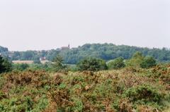 Roche verte et camions rouges