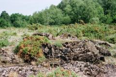 Encore des cailloux verts