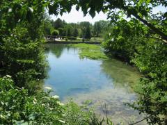 Retour au sources
