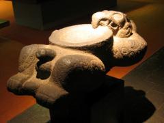 les doigts de pieds en éventail
