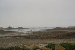 Basse mer
