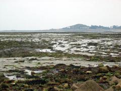 Marée basse