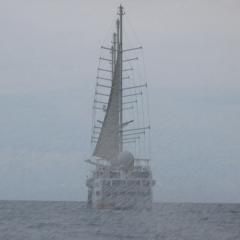 Les p'tits bateaux, 5 : la jonque fantôme vue de l'orchestre