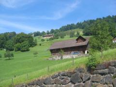 Au pays des vaches milka
