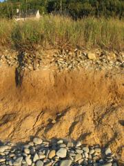 Littoral