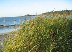 On remballe