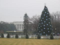 Joyeux noël de Washington (D.C.)