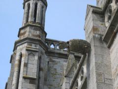 Gargouille, gargouille