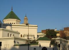 Mosqu&eacute;e